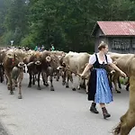 Lejlighed Findus