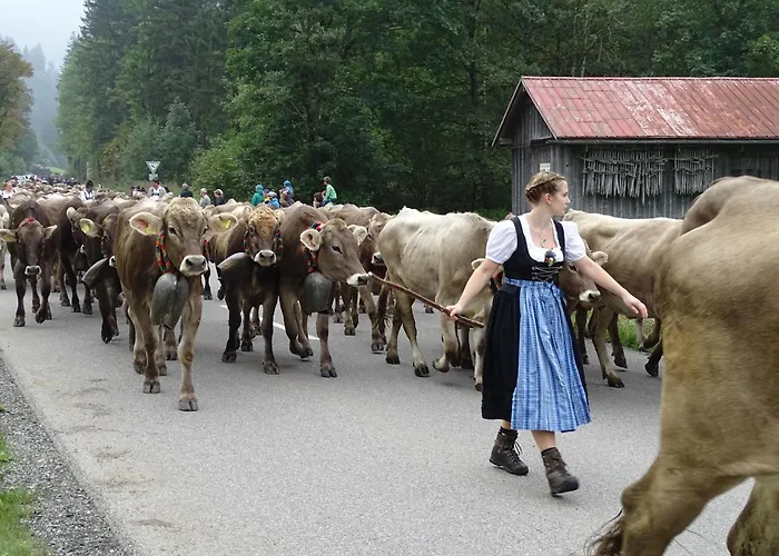 Findus * Haldenwang